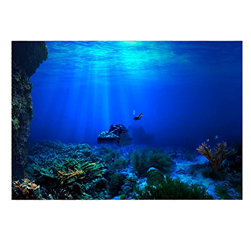 Felenny Aquarium-Hintergrund, 3D-Effekt, PVC-Klebe, Aquarium, Unterwasser, Seaworld, Hintergrund, Dekorationen, Poster, Wandpapier, Wasser, Korallen, Dekoration (91 x 41 cm) von Felenny