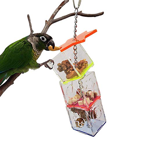 Felenny Bird Futtersuche Montage Block Kit Mehrschichtige Vogel Beißen Fütterung Futter Schüssel Haustier Liefert Zubehör von Felenny