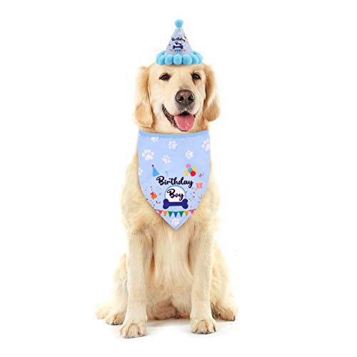 Felenny Doggy Geburtstag Bandana Haustier Geburtstag Hut Mode Haustier Geburtstag Outfits 2 Set von Felenny