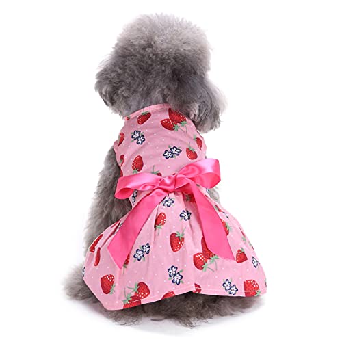 Felenny Haustier Hund Kleidung Sommer Kleid mit Schönen Bogen Pet Erdbeere Muster Hochzeiten Ferien Party für Kätzchen Hund von Felenny