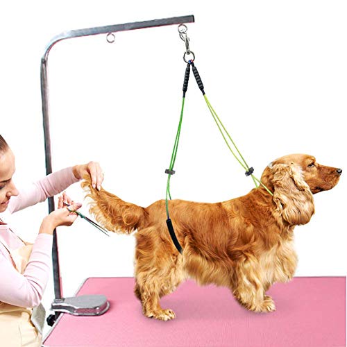 Felenny Fellpflegeseil für Haustiere, Hals- und Haunch-Halter, Bauchgurt-Set für Haustiere, Fellpflegeschlaufe, für kleine/mittelgroße Hunde (Gelb und Grün) von Felenny
