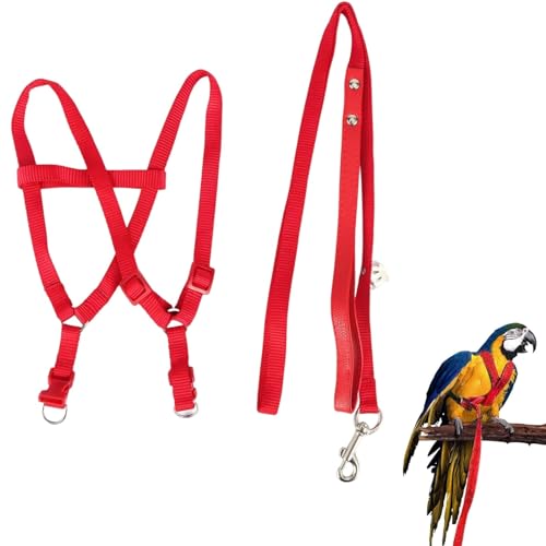 Felenny Vogelgeschirr Und Leine Verstellbare Vogelleine Unverzichtbares Zubehör Outdoor-Flug Anti-Biss Geeignet für Scharlachroten Ara Sun Conure Nymphensittich Papagei (Rot (groß)) von Felenny