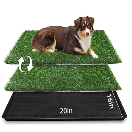 Kunstrasen Hundetoilette für kleine Hunde, Premium-Welpentoilette für Wohnung und Balkon, abwaschbare, Wiederverwendbare Trainingsunterlage für drinnen und draußen, 16 x 20 Zoll Kunstrasen Hundetoilette für kleine Hunde, Premium-Welpentoilette für Wohnung und Balkon, abwaschbare, Wiederverwendbare Trainingsunterlage für drinnen und draußen, 16 x 20 Zoll von Felenny