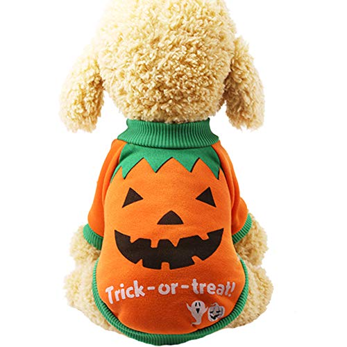 Feli546Bruce Hunde-Kleidung T-Shirt Lovely Pet Puppy Dog Halloween Kürbis Hexe T-Shirt Weiche Kleidung Kostüm Jacke für Ihren Hund 1# XS von Feli546Bruce