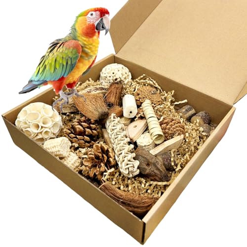 Felicify Vogelspielzeug, Papageienspielzeug, Papagei Kauspielzeug, Kaubare Vogel Spielzeug, Vogelkäfig Zubehör, Wellensittich Zubehör, Geeignet für Nymphensittich Wellensittich Sittiche Felicify Vogelspielzeug, Papageienspielzeug, Papagei Kauspielzeug, Kaubare Vogel Spielzeug, Vogelkäfig Zubehör, Wellensittich Zubehör, Geeignet für Nymphensittich Wellensittich Sittiche von Felicify