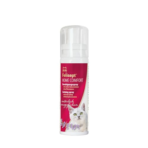 Felisept Home Comfort Beruhigungsspray 100ml Beruhigungsmittel für Katzen - Katzenminze Spray - Mit natürlicher Katzenminze - Anti Kratz Spray Katzen - Katzen Beruhigungsmittel - Ohne Pheromone Katzen von Felisept