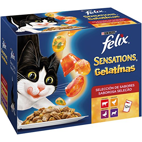 FELIX SENSATIONS Bœuf Poulet - 1.2 Kg von Felix