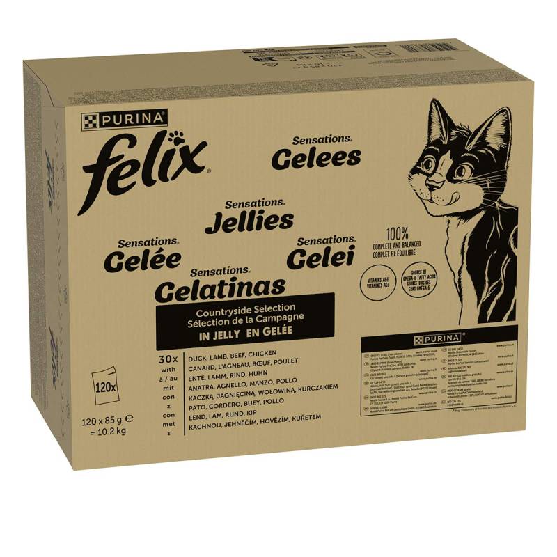 FELIX Sensations Geschmacksvielfalt vom Land 120x85 g von Felix