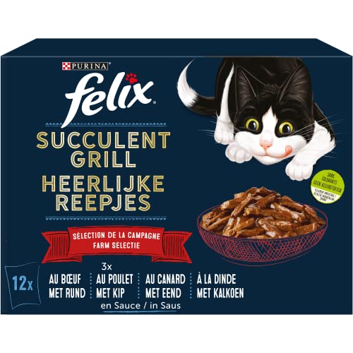 FELIX Succulent Grill Landschaft, 12 x 80 g von Felix