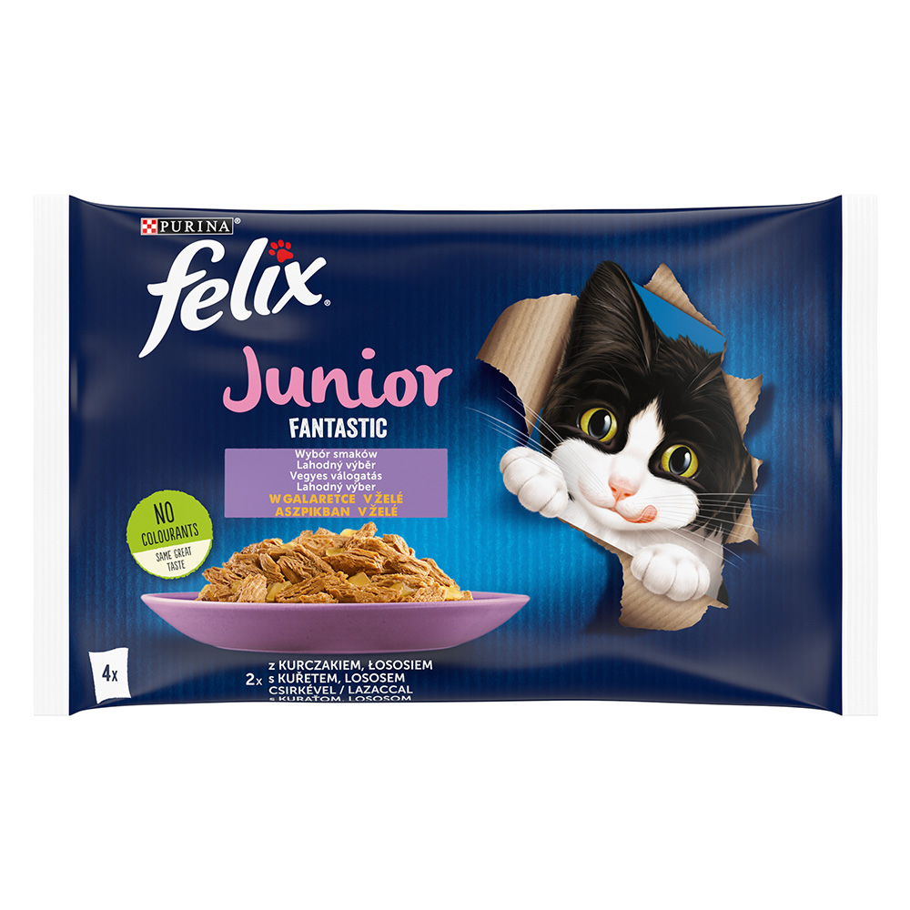 Felix Junior Fantastic Pouches 4 x 85 g - Lachs & Huhn Felix Junior Fantastic Pouches 4 x 85 g - Lachs & Huhn von Felix