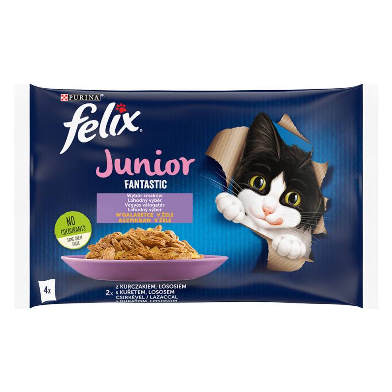 Felix Junior Fantastic Pouches 4 x 85 g - Lachs & Huhn von Felix