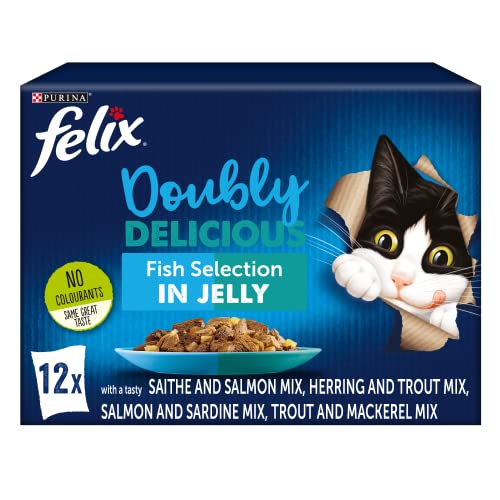 Felix Doubly Delicious Katzennassfutter für Kätzchen, Fisch in Gelee, 4 x 12 x 100 g Beutel von Felix
