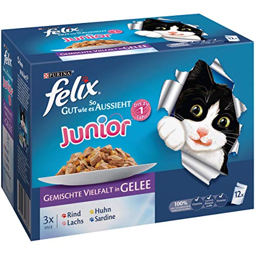 Felix Katzenfutter Junior gemischte Vielfalt 6er Pack, (6 x 12 x 100g) Beutel von Felix