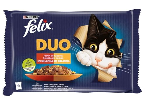 Felix Purina Fantastic Duo, Nassfutter für Katzen, Erwachsene, Fleischsortiment, 4 Beutel à 85 g Felix Purina Fantastic Duo, Nassfutter für Katzen, Erwachsene, Fleischsortiment, 4 Beutel à 85 g von Felix