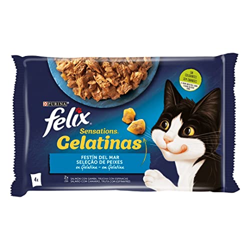 Felix Purina Sensations Nassfutter für Katzen, Erwachsene, Fischsortiment, 4 Beutel à 85 g von Felix