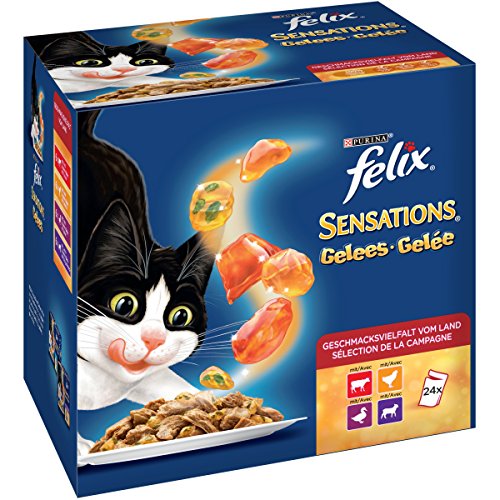 Felix Sensations, Katzennassfutter, Vitamine & Omega 6 I Adult I 4er Pack (4 x 24 x 100 g) von Felix