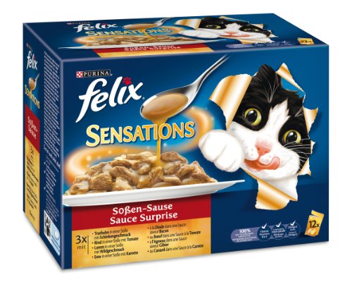 Felix Sensations Soßen-Sause Fleisch 12x100g Katzenfutter von Purina, 2er Pack (2 x 1.2 kg) von Felix
