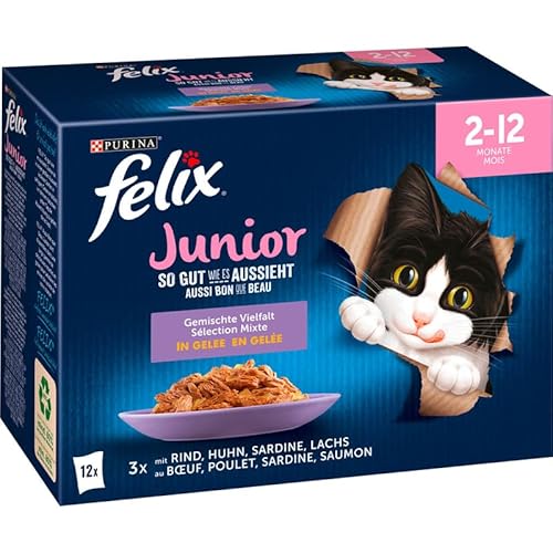PURINA FELIX Katzennassfutter So gut wie es aussieht in Gelee Junior gemischte Vielfalt von Felix