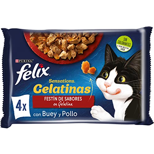 PURINA FELIX Sensations Katzenfutter, verschiedene Fleischsorten, 12 x [4 x 85 g] von PURINA FELIX