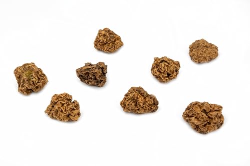 Fellefant Matatabi Früchte - Gallfrucht - 8er Set - Natürliches Katzenspielzeug - Die Alternative zu Katzenminze und Baldrian Fellefant Matatabi Früchte - Gallfrucht - 8er Set - Natürliches Katzenspielzeug - Die Alternative zu Katzenminze und Baldrian von Fellefant