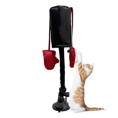 Fellflying Punchingball Katzen Spielzeug - Interaktives Boxspiel Für Katzen,Mit Saugnapf Haustier Aktivität Für Balkon Garten Hinterhof Schlafzimmer Bauernhof Fellflying Punchingball Katzen Spielzeug - Interaktives Boxspiel Für Katzen,Mit Saugnapf Haustier Aktivität Für Balkon Garten Hinterhof Schlafzimmer Bauernhof von Fellflying