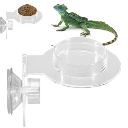 Fellflying Reptilienfutternapf | Climbing Pet Tank Food Bowl Accessories - Small Animals Dish Smooth Lizard Spider Feeder for Friends Family Lovers Dorm Home Fellflying Reptilienfutternapf | Climbing Pet Tank Food Bowl Accessories - Small Animals Dish Smooth Lizard Spider Feeder for Friends Family Lovers Dorm Home von Fellflying