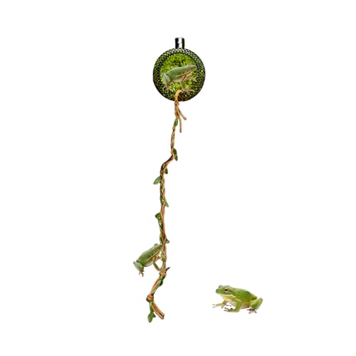 Fellflying Springspinnen Haus | Moos-Springspinnen Terrarium Mit Magnethalterung,Lebensraum Für Hundertfüßer Reptilien Füttern Ruheplatz Zuhause Klassenzimmer Geckos & Kleintiere von Fellflying