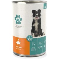 Fellicita Ente, Gans & Hirse 6x 400g von Fellicita