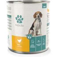 Fellicita Huhn & Reis 6x 800g von Fellicita