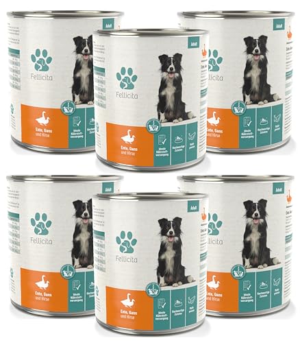 Fellicita Premium Nassfutter für Hunde - Ente, Gans & Hirse - 6er Pack - 6 x 800g - Multiprotein, hochwertiges Hundenassfutter, leckere Pastete, Alleinfuttermittel von Fellicita