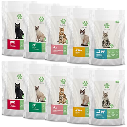 Fellicita Premium Nassfutter für Katzen, Multipack 5 Sorten,gemischte Auswahl, 10er Pack, 10 x 95 g, Mono- und Multiprotein, hochwertiges Futter, getreidefrei, leckere Pastete Fellicita Premium Nassfutter für Katzen, Multipack 5 Sorten,gemischte Auswahl, 10er Pack, 10 x 95 g, Mono- und Multiprotein, hochwertiges Futter, getreidefrei, leckere Pastete von Fellicita