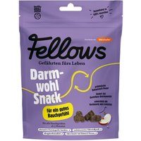 Fellows Darmwohl Snack 125 g von Fellows