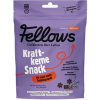 Fellows Kraftkerne Snack 125 g von Fellows
