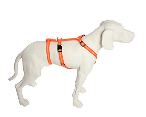 Das Original - NoExit Hundegeschirr ® - Zweiter Bauchgurt abnehmbar, Sicherheitsgeschirr für Pflegehunde, Panikgeschirr, No Escape, Super Soft, neonorange, Bauchumfang 50-65 cm, 20 mm Bandbreite von Feltmann