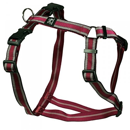 Feltmann Brustgeschirr, Soft Nylon, Pflaume mit Muster, 40-60cm, 15mm Feltmann Brustgeschirr, Soft Nylon, Pflaume mit Muster, 40-60cm, 15mm von Feltmann