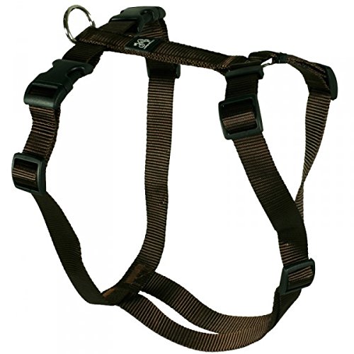 Feltmann Hundegeschirr - Nylonband, Unifarben Braun, Bauchumfang 40-60 cm, 15 mm Bandbreite von Feltmann