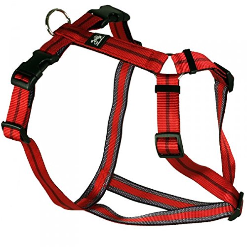Feltmann Hundegeschirr - Soft-Nylonband, rot Streifen, Bauchumfang 40-60 cm, 15 mm Bandbreite von Feltmann