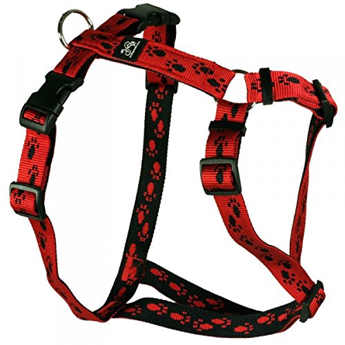 Feltmann Hundegeschirr - Soft-Nylonband rot mit schwarzen Pfötchen, Bauchumfang 60-80 cm, 25 mm Bandbreite von Feltmann