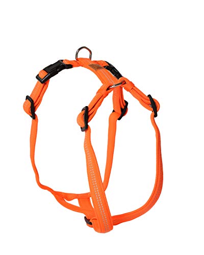 Feltmann Hundegeschirr - Super Soft, Neonorange, reflektierend, Bauchumfang 50-65 cm, 20 mm Bandbreite Feltmann Hundegeschirr - Super Soft, Neonorange, reflektierend, Bauchumfang 50-65 cm, 20 mm Bandbreite von Feltmann