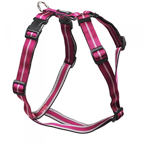 Feltmann Mopsgeschirr Hundegeschirr Soft Nylon, Pflaume Streifen, 7-13 kg, 20 mm von Feltmann