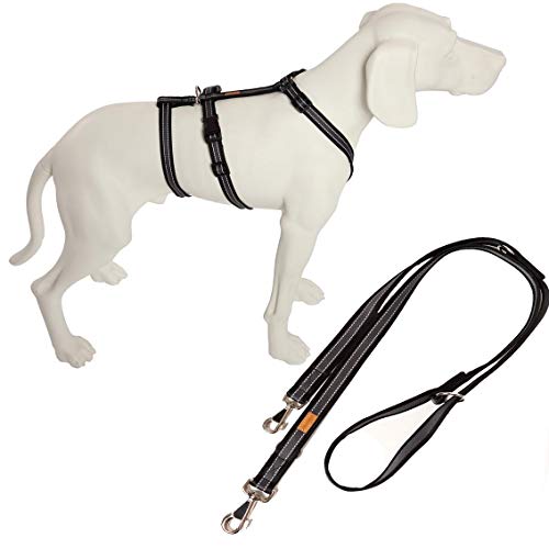 Feltmann No Exit ausbruchsicheres Hundegeschirr für Angsthund, Panikgeschirr, Soft Grip, Bauchumfang 75-100 cm, 25 mm Bandbreite, schwarz/Silber, inkl. passender Führleine 210 cm Feltmann No Exit ausbruchsicheres Hundegeschirr für Angsthund, Panikgeschirr, Soft Grip, Bauchumfang 75-100 cm, 25 mm Bandbreite, schwarz/Silber, inkl. passender Führleine 210 cm von Feltmann