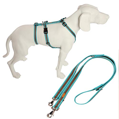 Feltmann No Exit ausbruchsicheres Hundegeschirr für Angsthund, Panikgeschirr, Soft Grip, türkis/braun, Bauchumfang 50-65 cm, 20 mm Bandbreite, inkl. passender Führleine 210 cm von Feltmann