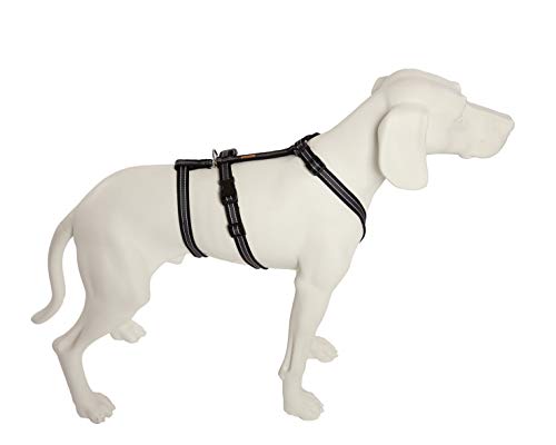 Feltmann No Exit ausbruchsicheres Hundegeschirr für Angsthund, Sicherheitsgeschirr für Pflegehunde, Panikgeschirr, Soft Grip, Bauchumfang 50-65 cm, 20 mm Bandbreite, schwarz/Silber Feltmann No Exit ausbruchsicheres Hundegeschirr für Angsthund, Sicherheitsgeschirr für Pflegehunde, Panikgeschirr, Soft Grip, Bauchumfang 50-65 cm, 20 mm Bandbreite, schwarz/Silber von Feltmann