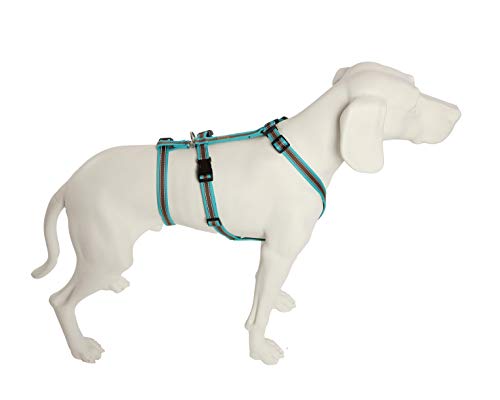 Feltmann No Exit ausbruchsicheres Hundegeschirr für Angsthund, Sicherheitsgeschirr für Pflegehunde, Panikgeschirr, Soft Grip, türkis/braun, Bauchumfang 40-60 cm, 15 mm Bandbreite Feltmann No Exit ausbruchsicheres Hundegeschirr für Angsthund, Sicherheitsgeschirr für Pflegehunde, Panikgeschirr, Soft Grip, türkis/braun, Bauchumfang 40-60 cm, 15 mm Bandbreite von Feltmann