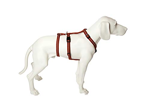 Feltmann No Exit ausbruchsicheres Hundegeschirr für Angsthund, Sicherheitsgeschirr für Pflegehunde, Panikgeschirr, Super Soft, Cognac, Bauchumfang 50-65 cm, 20 mm Bandbreite Feltmann No Exit ausbruchsicheres Hundegeschirr für Angsthund, Sicherheitsgeschirr für Pflegehunde, Panikgeschirr, Super Soft, Cognac, Bauchumfang 50-65 cm, 20 mm Bandbreite von Feltmann