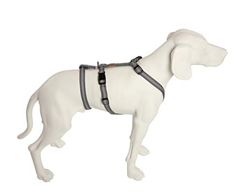 Feltmann No Exit ausbruchsicheres Hundegeschirr für Angsthund, Sicherheitsgeschirr für Pflegehunde, Panikgeschirr, Super Soft, Silber, Bauchumfang 35-50 cm, 15 mm Bandbreite Feltmann No Exit ausbruchsicheres Hundegeschirr für Angsthund, Sicherheitsgeschirr für Pflegehunde, Panikgeschirr, Super Soft, Silber, Bauchumfang 35-50 cm, 15 mm Bandbreite von Feltmann