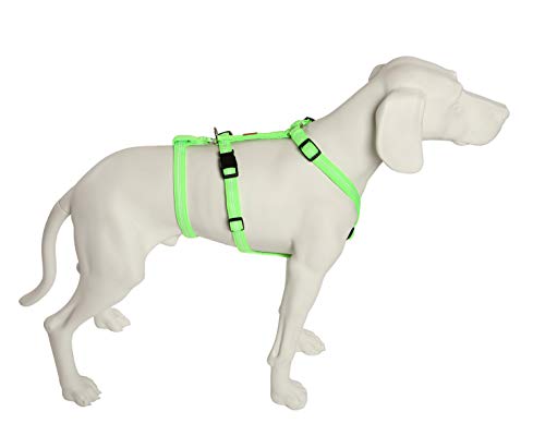 Feltmann No Exit ausbruchsicheres Hundegeschirr für Angsthund, Sicherheitsgeschirr für Pflegehunde, Panikgeschirr, Super Soft, neongrün, Bauchumfang 50-65 cm, 20 mm Bandbreite Feltmann No Exit ausbruchsicheres Hundegeschirr für Angsthund, Sicherheitsgeschirr für Pflegehunde, Panikgeschirr, Super Soft, neongrün, Bauchumfang 50-65 cm, 20 mm Bandbreite von Feltmann