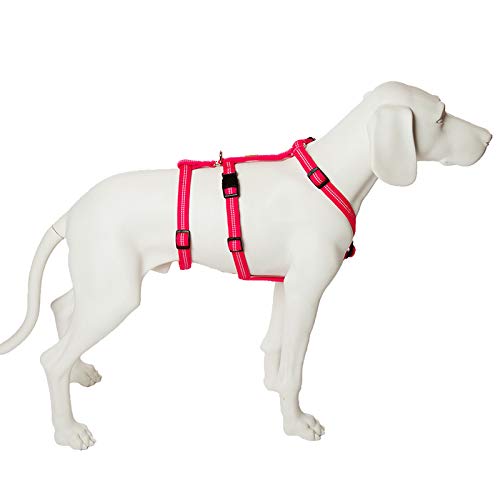 Feltmann No Exit ausbruchsicheres Hundegeschirr für Angsthund, Sicherheitsgeschirr für Pflegehunde, Panikgeschirr, Super Soft, pink, Bauchumfang 75-100 cm, 25 mm Bandbreite Feltmann No Exit ausbruchsicheres Hundegeschirr für Angsthund, Sicherheitsgeschirr für Pflegehunde, Panikgeschirr, Super Soft, pink, Bauchumfang 75-100 cm, 25 mm Bandbreite von Feltmann