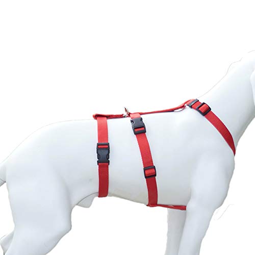 Feltmann NoExit Hundegeschirr® - ausbruchssicher, Panikgeschirr, Unifarben Rot, Bauchumfang 35-50 cm, 15 mm Bandbreite von Feltmann
