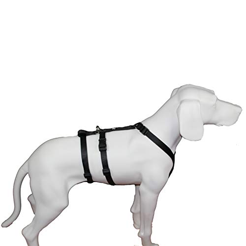 Feltmann NoExit Hundegeschirr® - ausbruchssicher, Panikgeschirr, Unifarben Schwarz, Bauchumfang 60-80 cm, 25 mm Bandbreite von Feltmann